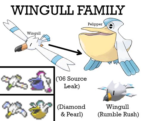 wingull weakness|wingull evolution level.
